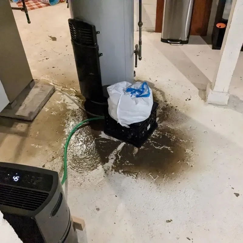 Sewage Backup Cleanup Service in Helena, AR